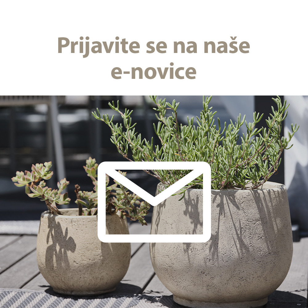 E-novice