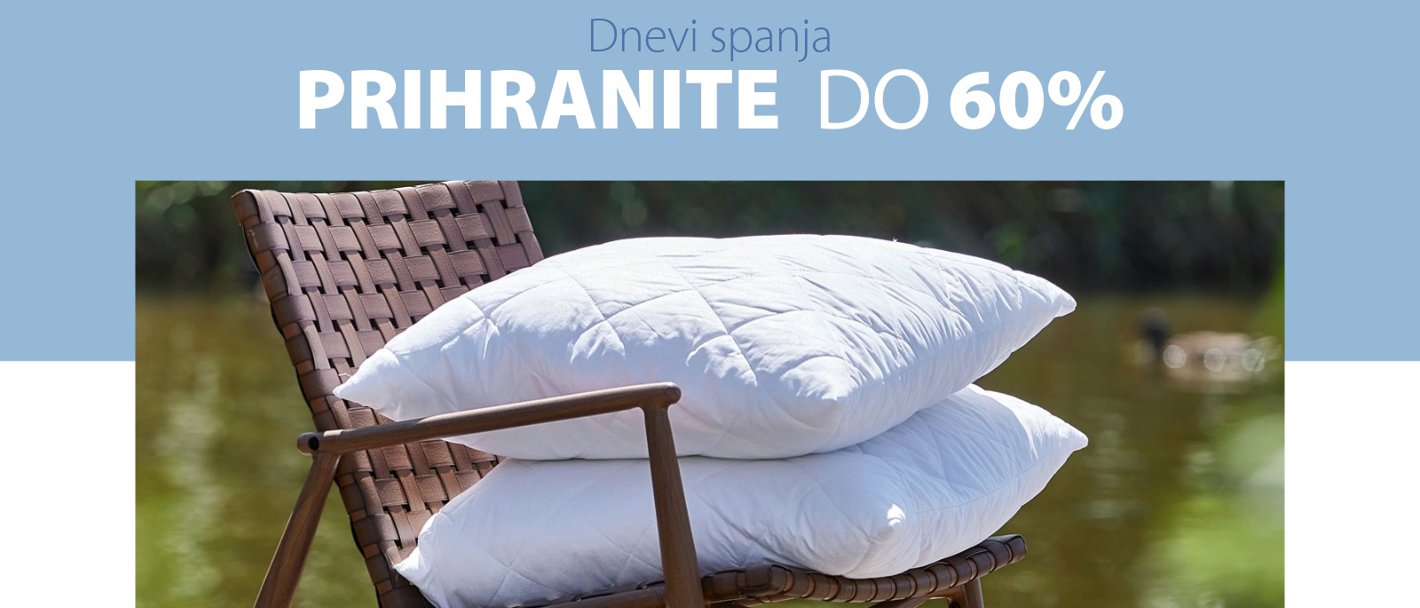 Dnevi spanja
