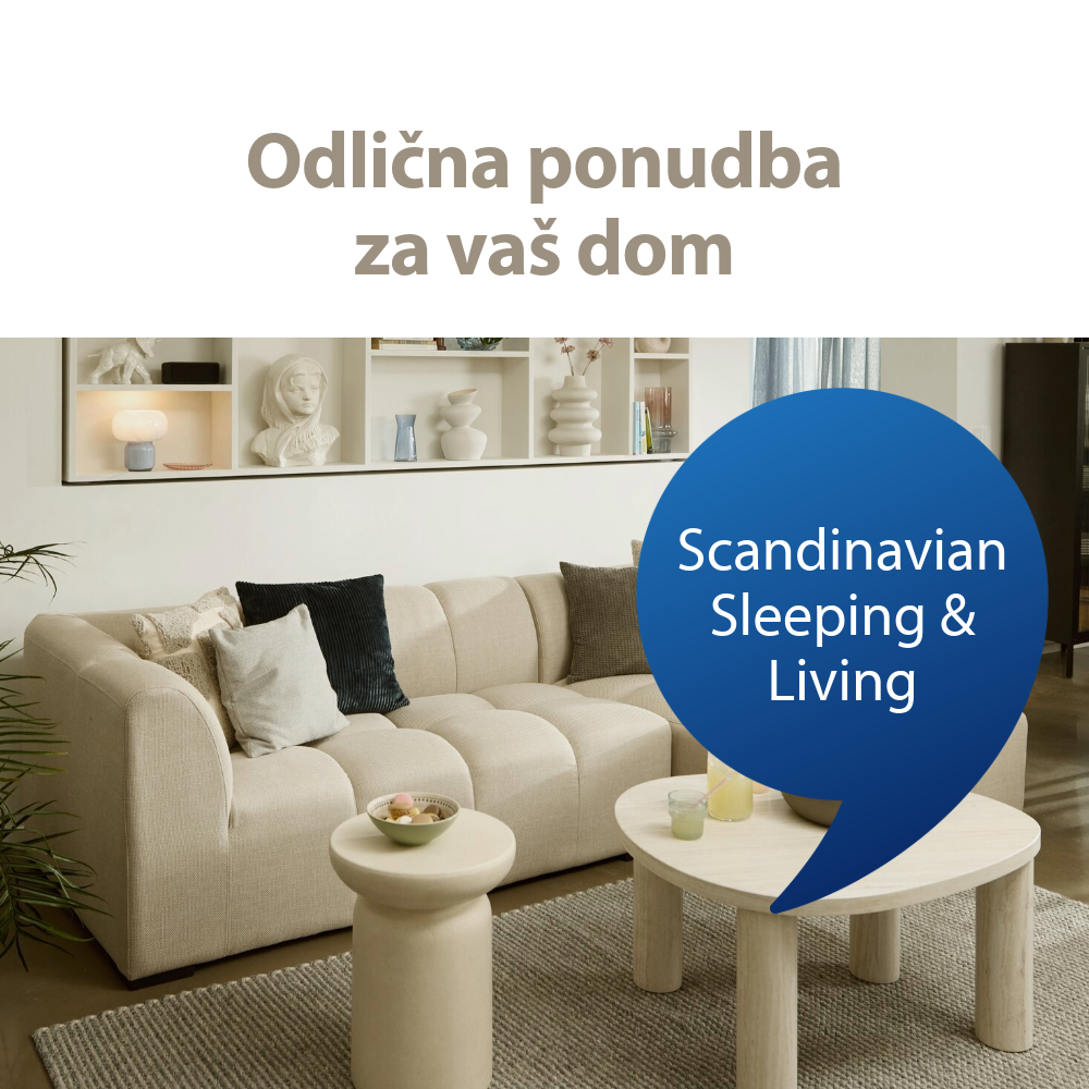 Scandinavian Sleeping and living