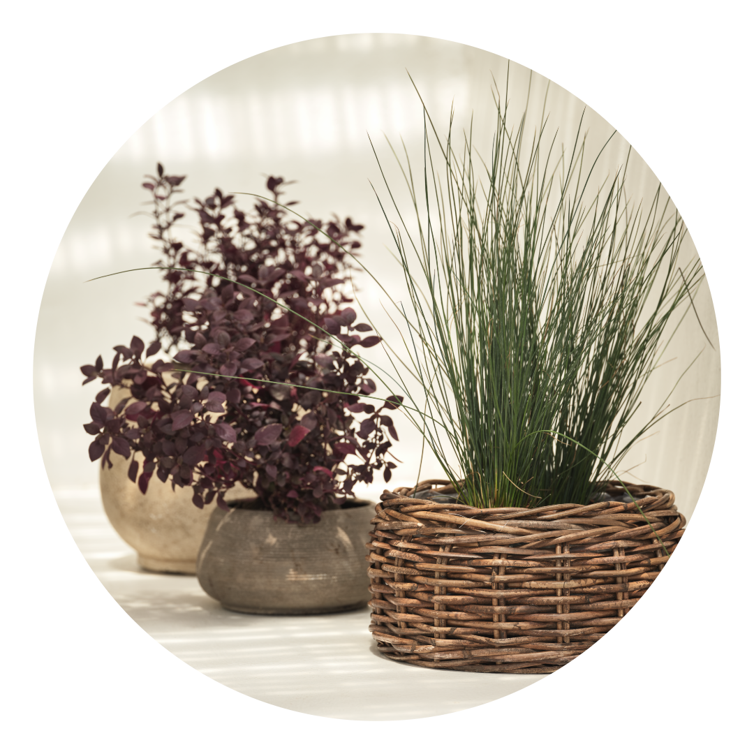 Planters Planters